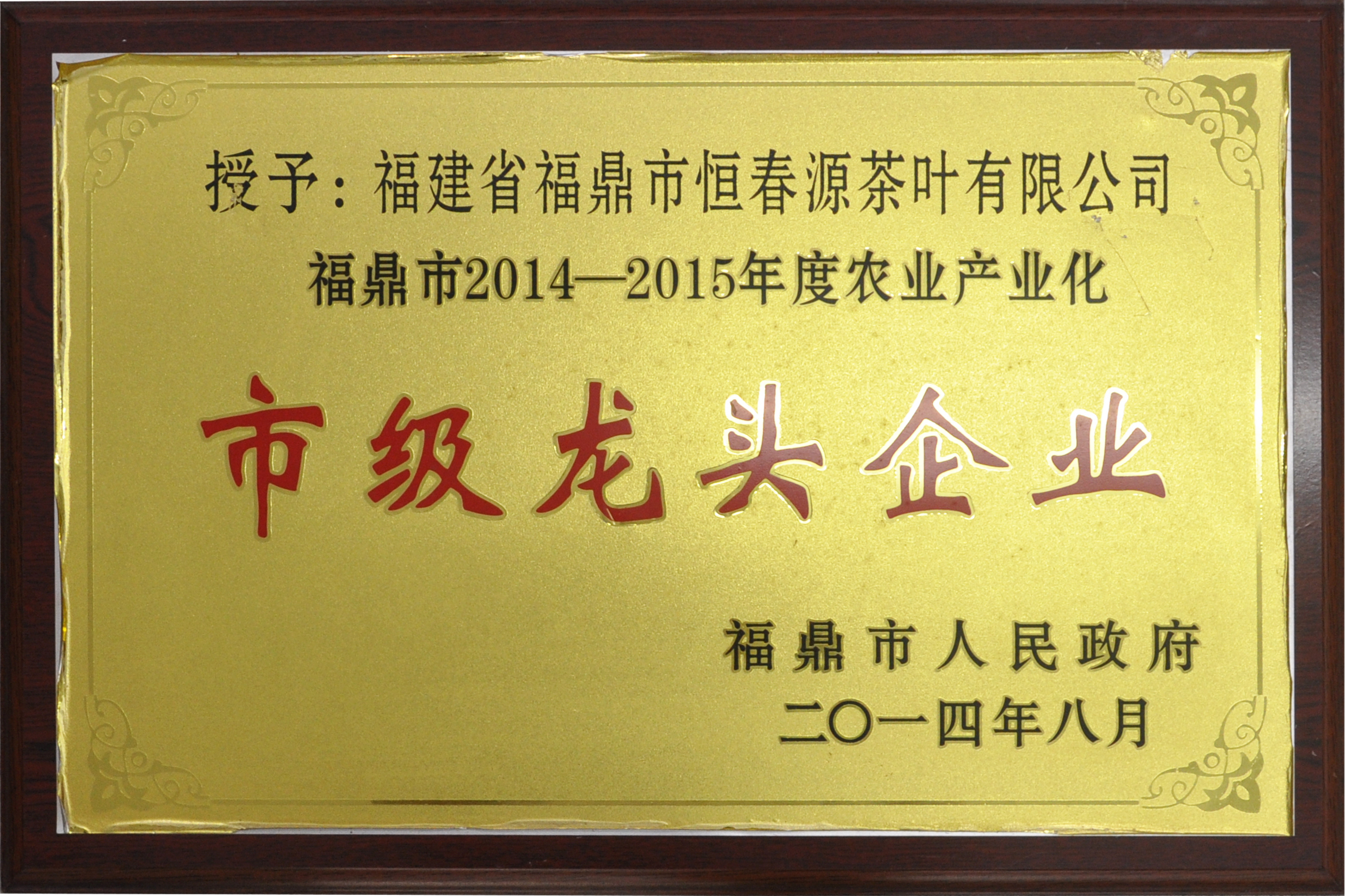 2014-2015年度市級(jí)龍頭企業(yè)